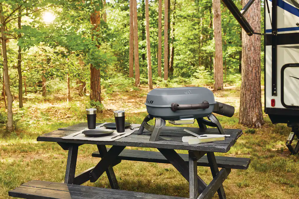 grille travel Q NAPOLEON